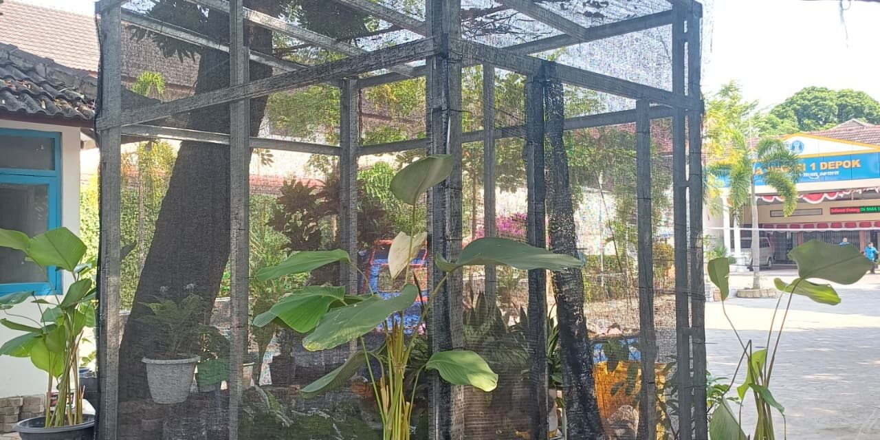 Pelestarian Tanaman melalui Greenhouse & TOGA