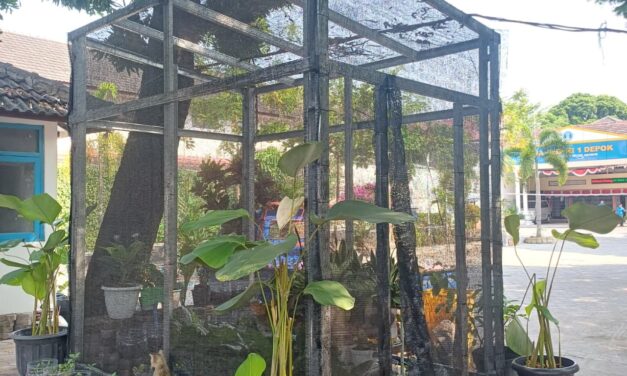 Pelestarian Tanaman melalui Greenhouse & TOGA